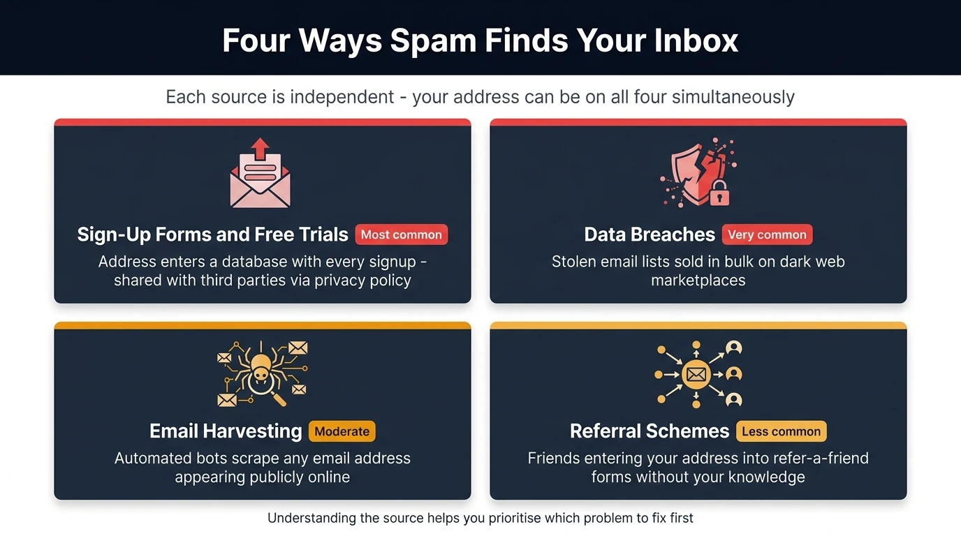 Four-card diagram showing the main ways spam finds your inbox — sign-up forms, data breaches, email harvesting, and referral schemes